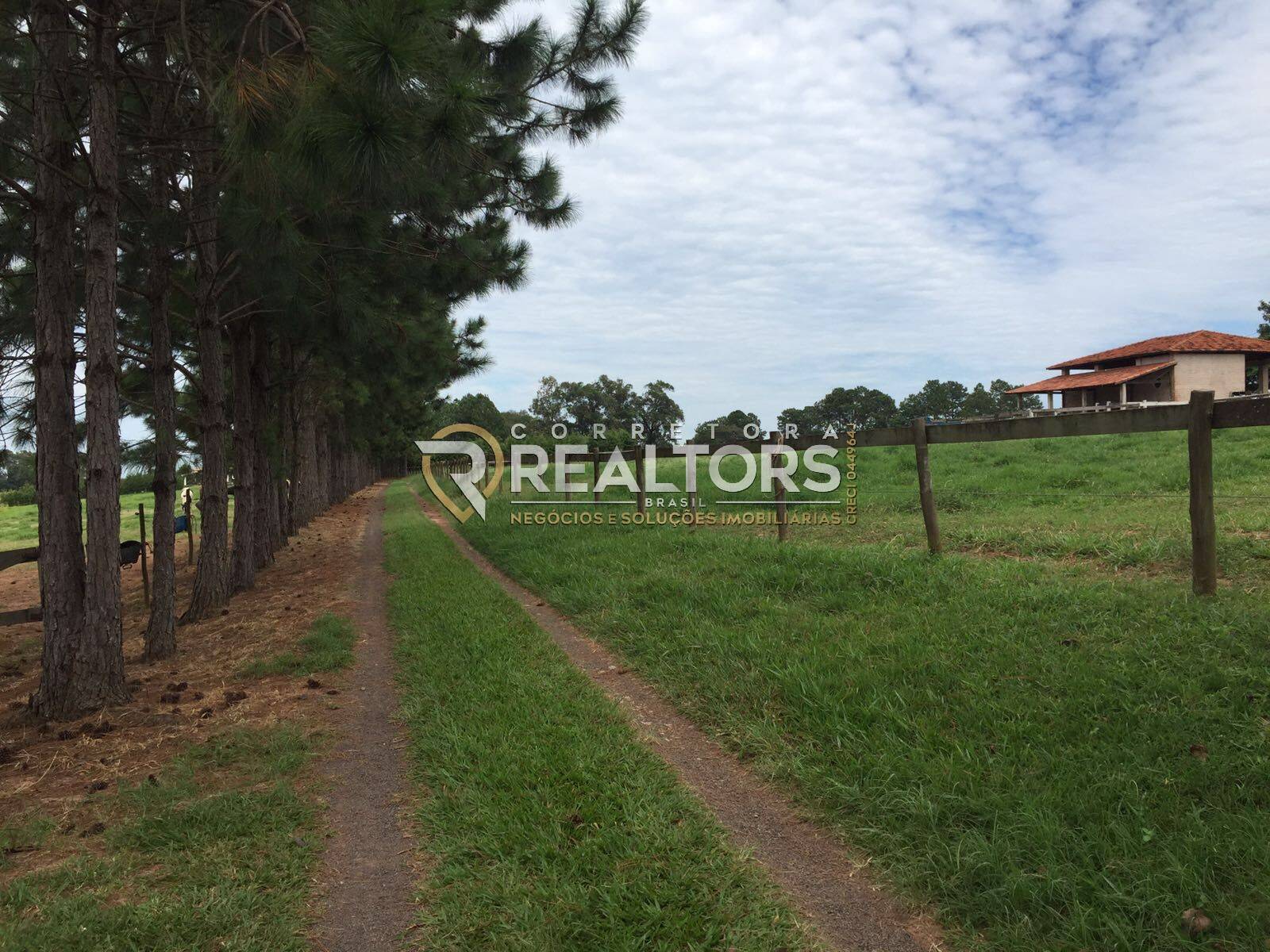 Casa à venda com 3 quartos, 141840m² - Foto 6