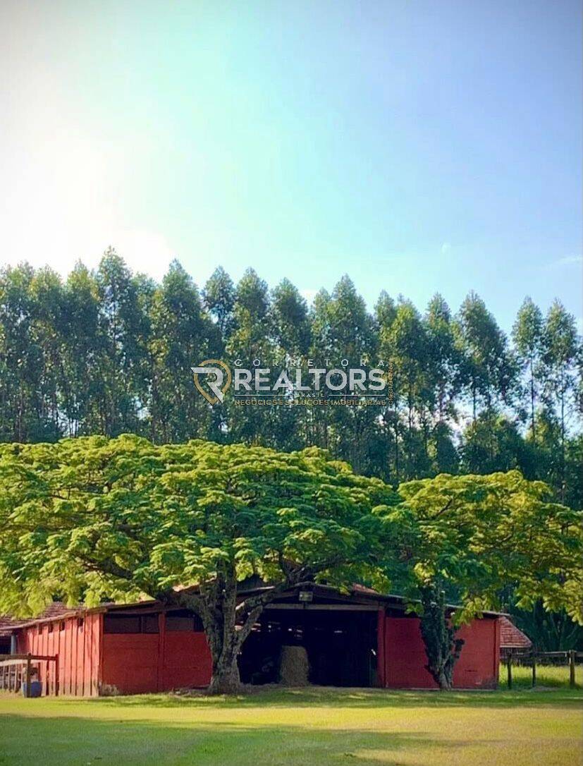 Casa à venda com 3 quartos, 141840m² - Foto 23