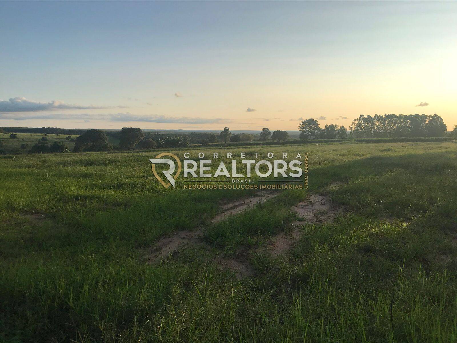 Casa à venda com 3 quartos, 141840m² - Foto 31