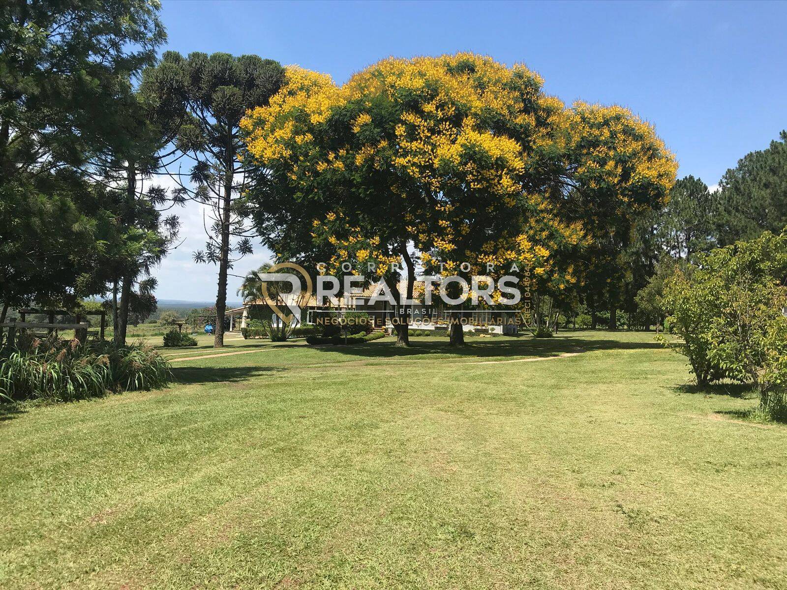 Casa à venda com 3 quartos, 141840m² - Foto 33