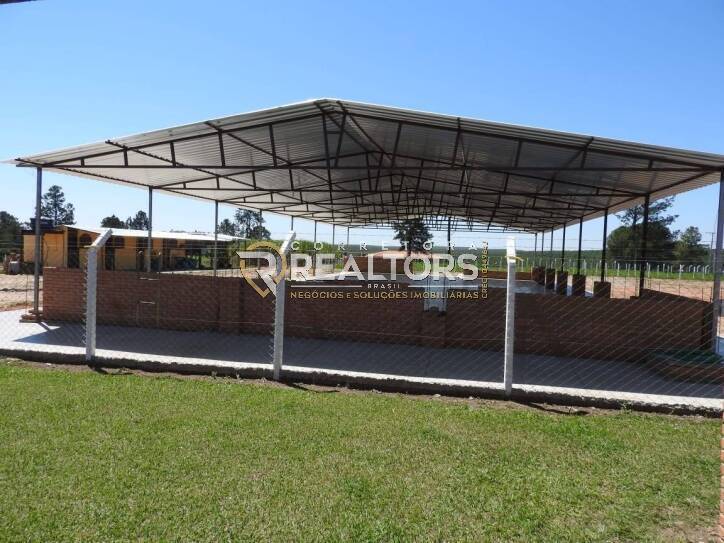 Sítio, 7 quartos, 2 hectares - Foto 17