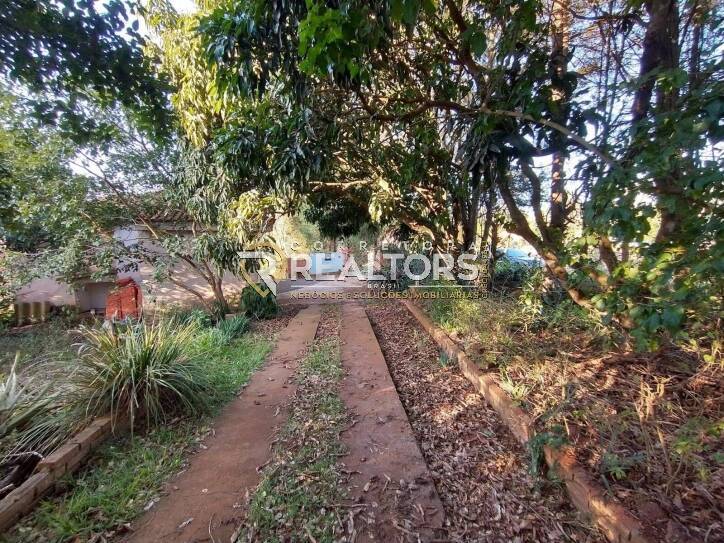 Terreno, 3 hectares - Foto 4